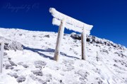 富士山山頂の凍りついた鳥居の写真 「初対面」
