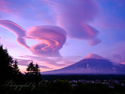 鳴沢村から朝焼けに染まる吊るし雲と富士山の写真 「ナンジャコリャ」
