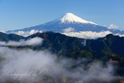 清水吉原の雲海と富士山の写真 「雲を引き連れて」