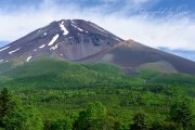 水ヶ塚公園から望む初夏の富士山の写真 「初夏、凛として」