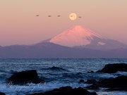 三浦半島から望むパール富士の写真 「朝焼けに翔ぶ」