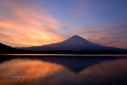 田貫湖の朝焼けと逆さ富士の写真 「2回目の色」