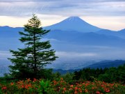 甘利山のレンゲツツジの写真 「山稜彩る」