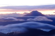 赤石岳より望む富士山と雲海の写真 「朝焼け雲に遊ぶ」