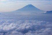 櫛形山の雲海と富士山の写真 「モクモク」