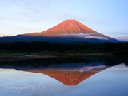 朝霧高原から望む赤富士と逆さ富士の写真 「真紅の光に照らされて」