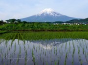 農村公園の水田逆さ富士の写真 「農村の情景」