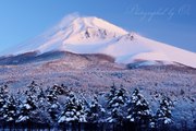水ヶ塚駐車場から望む富士山と雪景色の写真 「麗しき春雪」