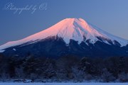 花の都公園より望む冬の富士山の写真 「至極の紅」