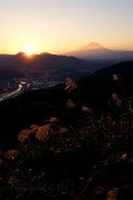 松田山からの夕景の写真 「秋の穂照らして」