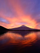 田貫湖の朝焼けの写真 「炎上」