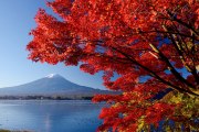 河口湖の紅葉と富士山の写真 「ほとり鮮やか」