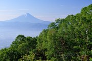 甘利山の新緑の写真 「新緑の斜面」