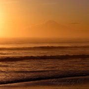 片瀬西浜海岸から望む富士山の写真 「黄金に佇む」