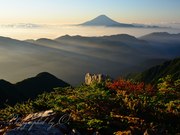 南アルプス白河内岳から望む朝の富士山の写真 「天空の庭」