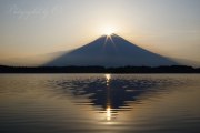 田貫湖のダブルダイヤモンド富士の写真 「ゴールドラッシュ」