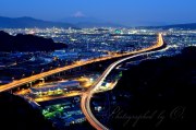 小坂みかん山の夜景の写真 「Shining Arc」
