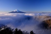 三つ峠の大雲海の写真 「ダイナミック雲海」
