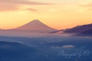 高ボッチ高原からの夜明けの富士山の写真 「朝焼け遠望」