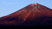 朝霧霊園より望む赤富士（紅富士）の写真 「西の空を映して」
