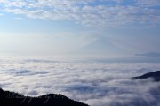 池の茶屋林道からの雲海と富士山の写真 「シルクのような」