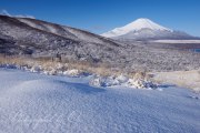 三国峠の雪景の写真 「雪原の美」