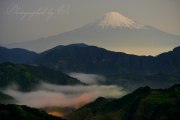清水吉原の雲海の写真 「漂い始める」