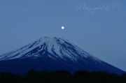 富士ヶ嶺高原のパール富士の写真 「富士に浮かぶ」
