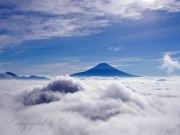 安倍峠の雲海の写真 「純白眩しく」
