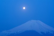 山中湖のパール富士の写真 「舞い降りる」