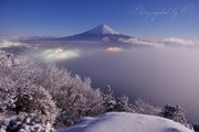 三ツ峠山から望む月光の雪景色と雲海の富士山の写真 「天空夢想」