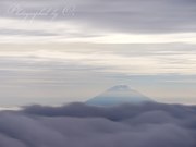 赤石岳から望む富士山の写真 「幻の富士」