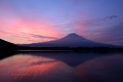 田貫湖の朝焼けと逆さ富士の写真 「The Peak of Color」