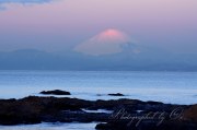 立石から見る紅富士の写真 「薄紅を頂く」