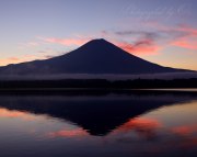 田貫湖の朝焼けの写真 「夏空咲いて」