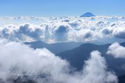 北岳から雲海と富士山の写真 「大海泳ぐ」