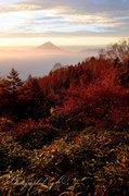 甘利山の紅葉と富士山の写真 「光の杜」