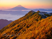 南アルプス・観音岳(鳳凰三山)の紅葉と富士山の写真 「高山の秋」