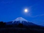 朝霧高原のパール富士の写真 「草原の妖精」