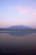山中湖・長池親水公園より望むパール富士と朝焼けの写真 「真珠は朝焼けの中に」