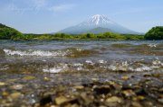 精進湖の新緑と富士山の写真 「新緑の水辺」