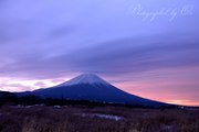 朝霧高原から望む朝焼けの富士山の写真 「彼方の色めき」