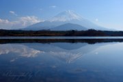 精進湖の逆さ富士の写真 「透き通る鏡」