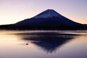 精進湖の逆さ富士の写真 「冬顔の再会」
