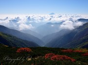 北岳の紅葉と富士山と雲海の写真 「華咲く天空散策路」