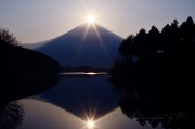 田貫湖展望デッキの写真 「激戦制する」