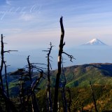 国師ヶ岳の枯れ木の写真 「天空の歴史」