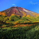 滝沢林道の写真 「紅葉の山体を」