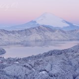 大観山の雪景色の写真 「待ち焦がれた白の町」