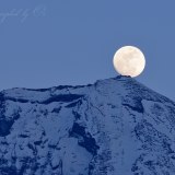朝霧高原人穴からのパール富士の写真 「ウサ耳」